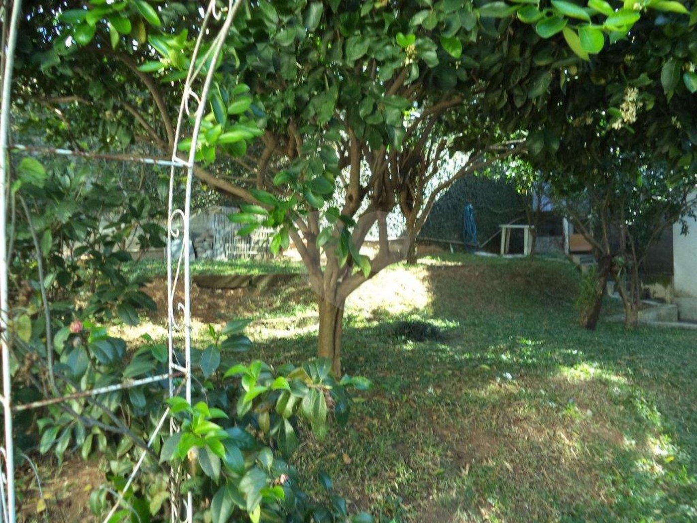 Chácara à venda com 5 quartos em Horto Florestal, São Paulo, SP