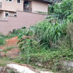 Terreno à venda em Vila Albertina, São Paulo, SP