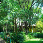 Casa Térrea à venda com 5 quartos em Alto da Boa Vista, São Paulo, SP