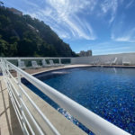 Apartamento com 1 dormitório à venda, 42 m² por R$ 430.000,00 - Marapé - Santos/SP