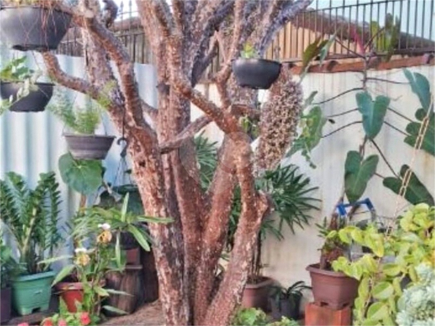 Casa à venda com 4 quartos em Cidade Nova I, Indaiatuba, SP