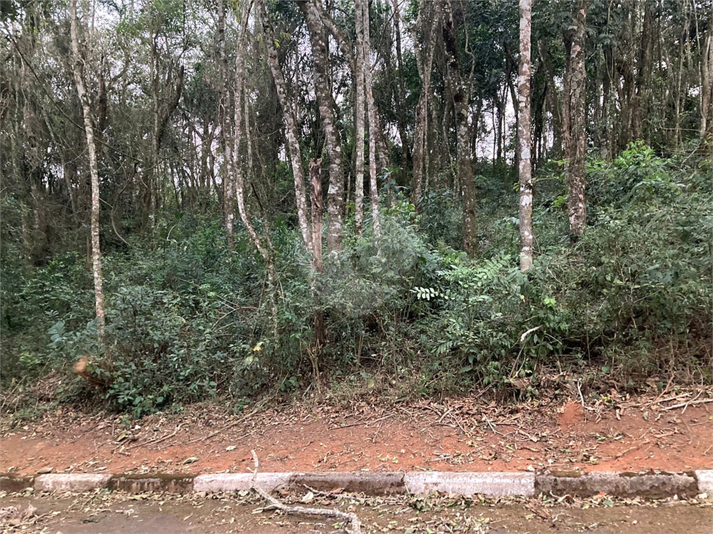 Terreno à venda no condomínio Alpes da Cantareira, Mairiporã - SP