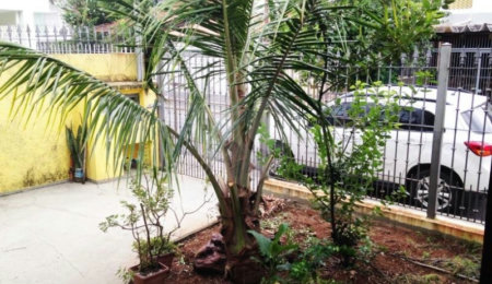 Casa Térrea à venda com 3 quartos, sendo 1 suíte,  em Vila Cordeiro, São Paulo, SP