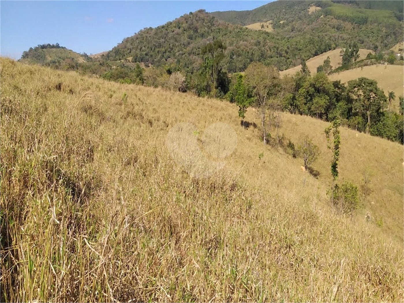 Sítio à venda no Centro, Monte Sião, MG