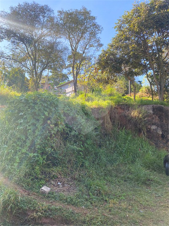 Terreno à venda em Luiz Fagundes, Mairiporã, SP