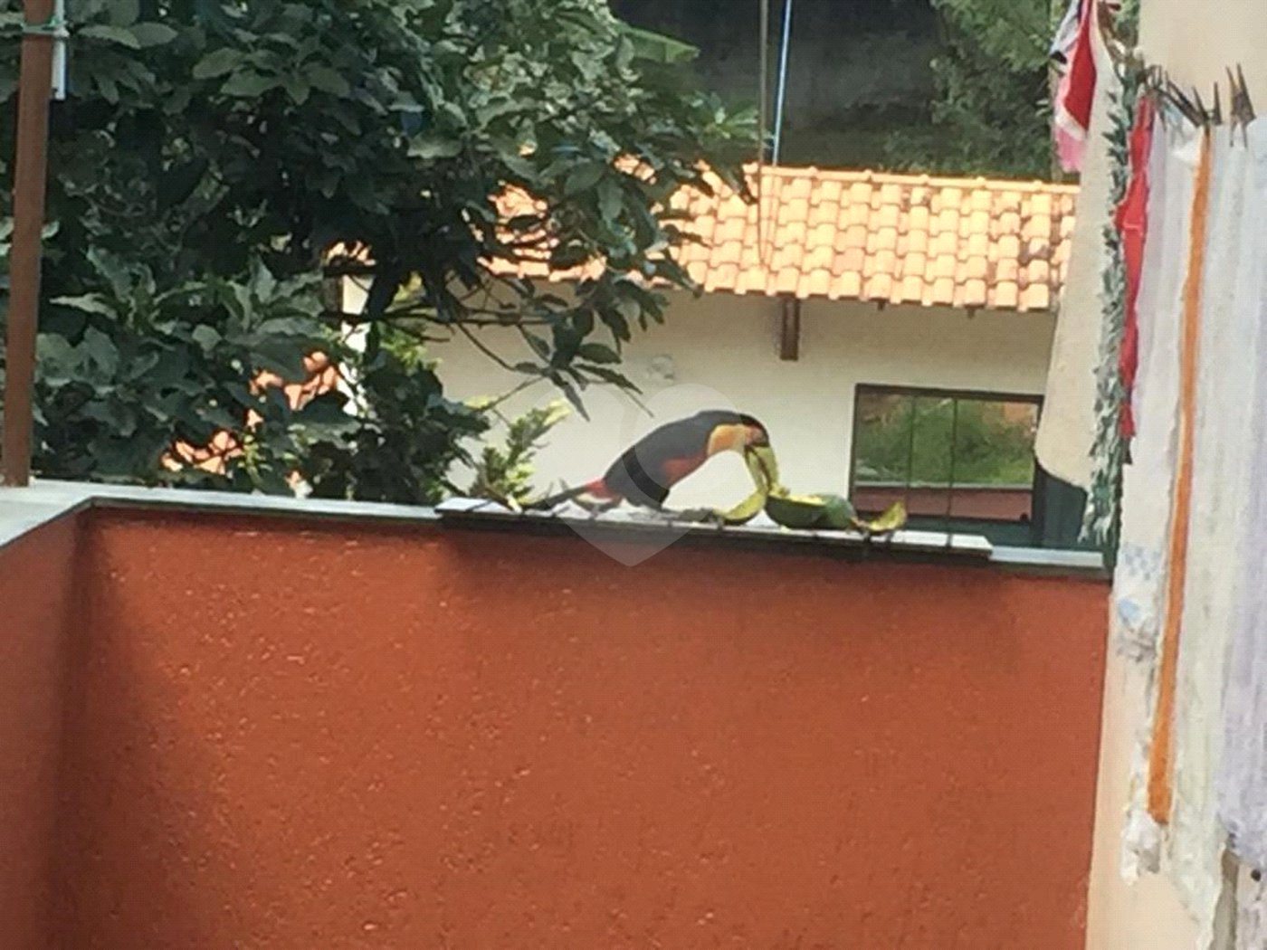 Sobrado à venda com 6 quartos, sendo 2 suítes, em Horto Florestal, São Paulo, SP