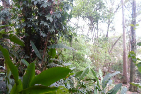 Sobrado à venda com 5 quartos, sendo 3 suítes, em Fazenda Morumbi, São Paulo, SP