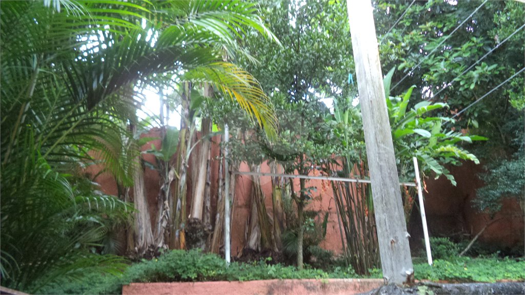Sobrado à venda com 6 quartos, sendo 2 suítes,  em Chácara Monte Alegre, São Paulo, SP