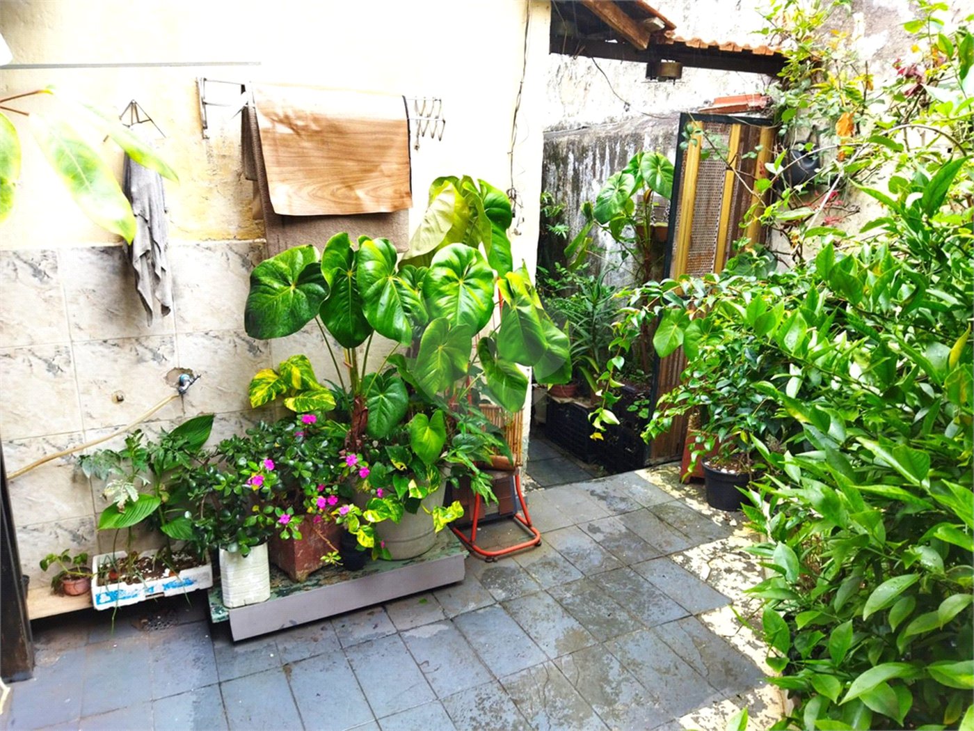 Casa á venda - Jabaquara