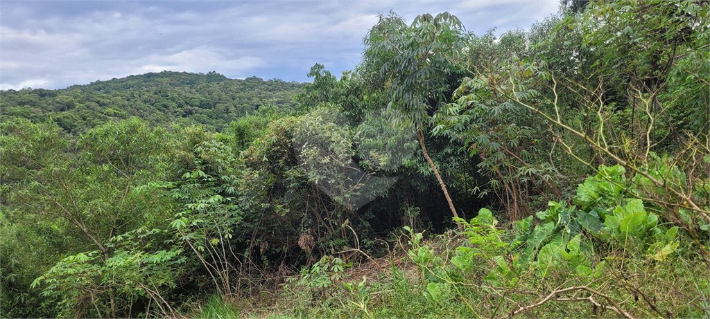 Terreno à venda em Serra da Cantareira, Mairiporã, SP