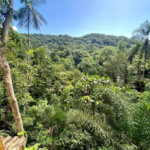 Casa Residencial à venda, ,  - CA0142.