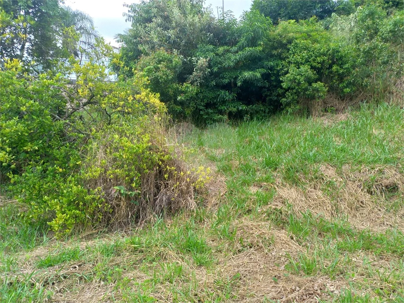 Terreno à venda em Parque dos Cafezais IV, Itupeva, SP