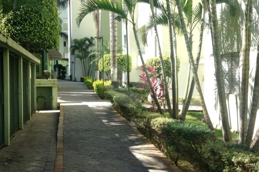 Apartamento à venda com 2 quartos em Vila Nova Cachoeirinha, São Paulo, SP