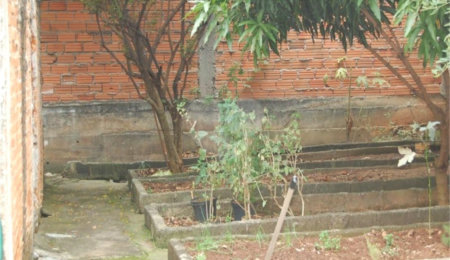 Terreno à venda com 1 quarto em Casa Verde, São Paulo, SP