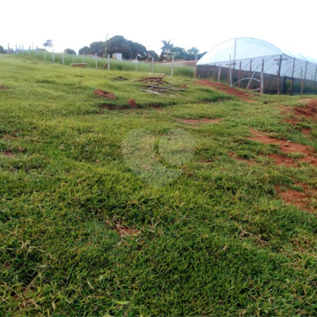 Sítio à venda com 1 quarto em Recanto Amapola, Bragança Paulista, SP