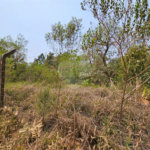 Terreno à venda em Curral, Ibiúna, SP