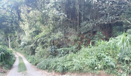Terreno à venda no condomínio Sausalito, Mairiporã - SP