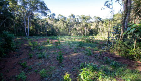 Terreno à venda no Centro (canguera), São Roque, SP