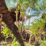 Rancho com 12 dormitórios à venda, 63000 m² por R$ 7.500.000,00 - Condomínio Haras Paineiras - Salto/SP