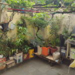 Casa à venda com 4 quartos, sendo 1 suíte,  em Jardim Cacique, Suzano, SP
