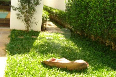 Sobrado à venda com 4 quartos, sendo 2 suítes,  em Fazenda Morumbi, São Paulo, SP
