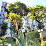 Apartamento à venda com 2 quartos em Jardim Santa Mônica, São Paulo, SP
