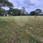 Loteamento Residencial no Condomínio Vila Pinhal do Broa