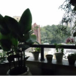Apartamento à venda com 3 quartos, sendo 1 suíte, em Vila Andrade, São Paulo, SP