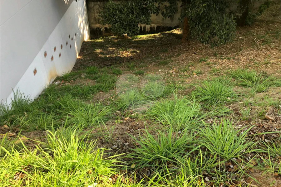 Terreno à venda em Horto, São Paulo, SP