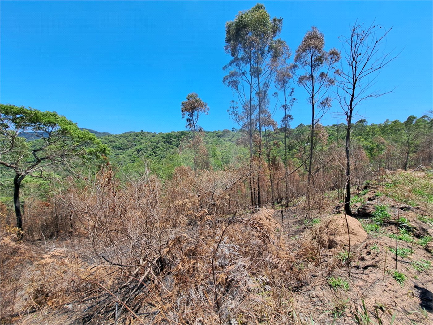 Terreno à venda em Serra da Cantareira, Mairiporã, SP
