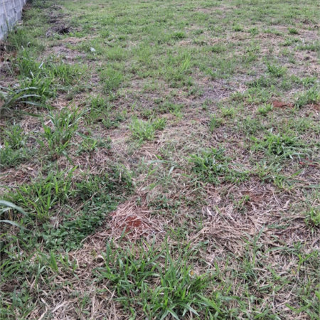 Terreno à venda em Mato Dentro, Mairinque, SP
