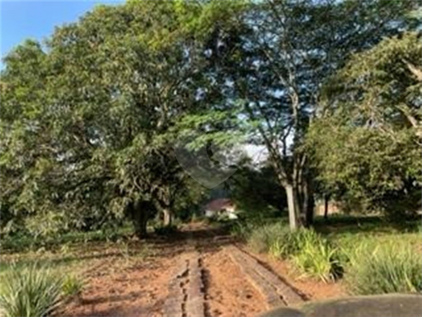 Sítio à venda com 2 quartos em Vila Brasileira, Itatiba, SP