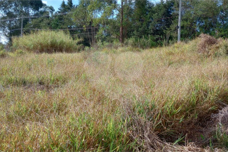 Terreno à venda em Monterrey, Louveira, SP