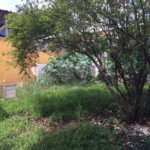 Terreno à venda com 1 quarto em Carandiru, São Paulo, SP