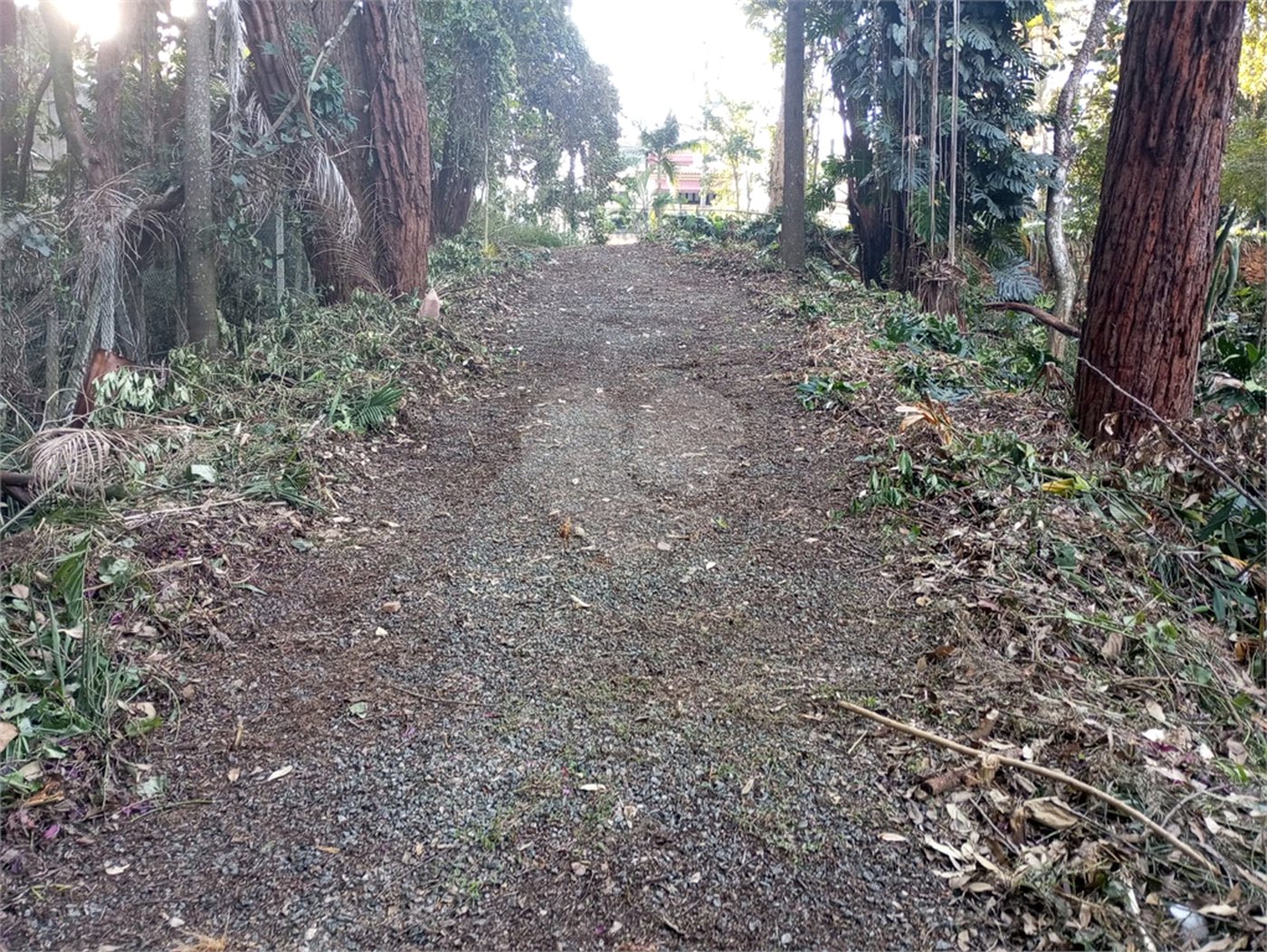 Terreno à venda com 1 suíte em Alto da Boa Vista, São Paulo, SP