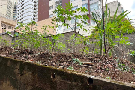Terreno à venda em Santana, São Paulo, SP