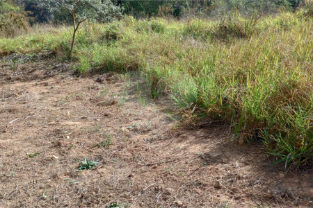 Terreno à venda em Monterrey, Louveira, SP