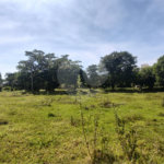 Terreno à venda em Campestre, Piracicaba, SP