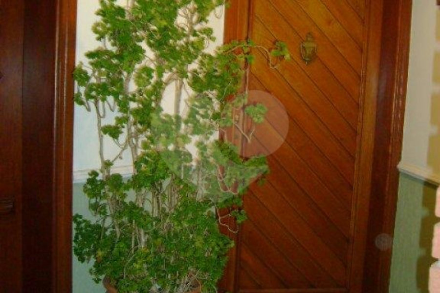 Sobrado à venda com 4 suítes em Jardim São Bento, São Paulo, SP