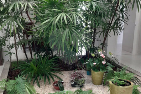 Casa à venda com 5 suítes no condomínio Ipe Velho, Vinhedo - SP