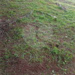 Terreno à venda no condomínio Portal do Igaratá, Igaratá - SP