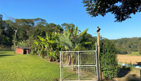 Terreno à venda com 5 quartos, sendo 4 suítes, em Vila Aparecida, Suzano, SP