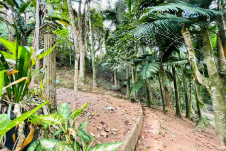 Terreno à venda em Tucuruvi, São Paulo, SP