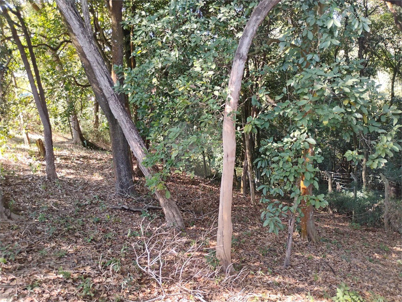 Terreno à venda em Loteamento Vale Azul I, Jundiaí, SP