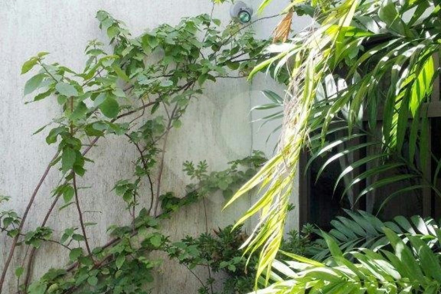 Sobrado à venda com 3 suítes em Vila Maria Alta, São Paulo, SP