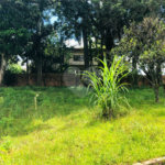 Terreno à venda em Tremembé, São Paulo, SP