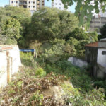 Terreno à venda ou para alugar em Água Fria, São Paulo, SP