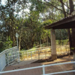 Apartamento à venda com 4 quartos, sendo 2 suítes, em Jardim Adhemar de Barros, São Paulo, SP