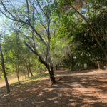 Casa à venda com 4 quartos, sendo 3 suítes, no condomínio Jardim Reserva Bom Viver de Indaiatuba, Indaiatuba - SP