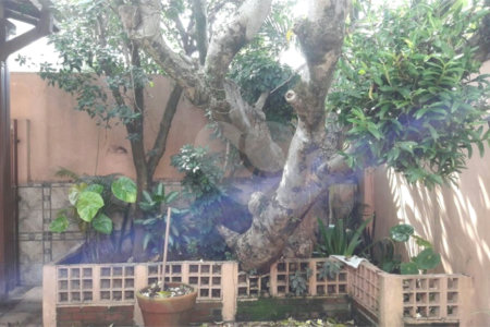 Casa Térrea à venda ou para alugar com 4 quartos, sendo 1 suíte, em Jardim Aeroporto, São Paulo, SP